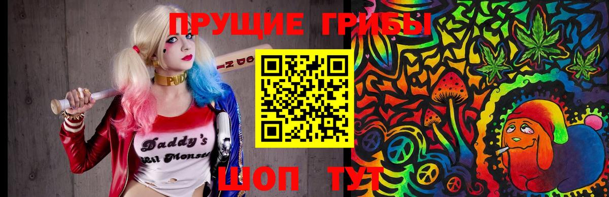 Галлюциногенные грибы мицелий Гусев