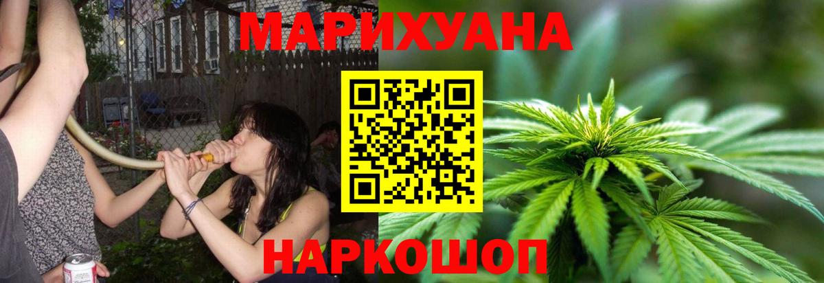 Канабис гибрид Гусев